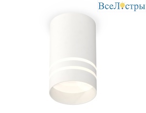 Потолочный светильник Ambrella Light Techno Spot XS7421022 (C7421, N7141)