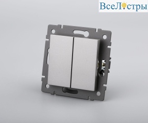 Механизм выключателя двухклавишный проходной Arlight SWT-MKP2-PL-GR-V (250V, 10A) 049894