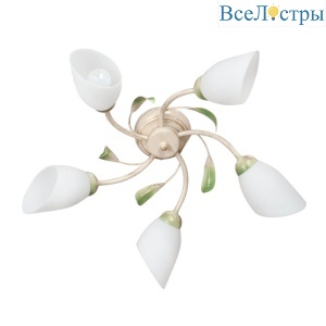 Потолочная люстра Vitaluce V3232/5PL