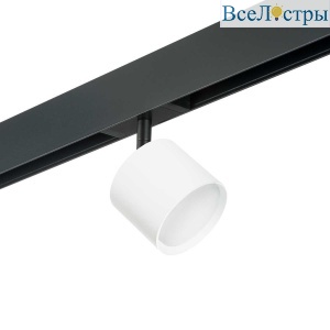Трековый светильник Lightstar Rullo (213486+595087) PRO3486