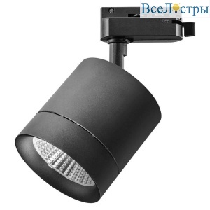 Светильник на штанге Lightstar Canno 301272