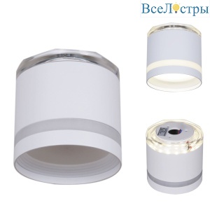 Накладной светильник Reluce 53001-9.5-001LD GX53+LED3W WT