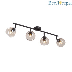 Потолочная люстра Vitaluce V43130-13/4PL