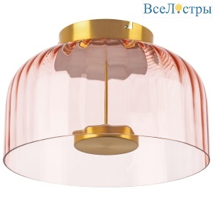 Потолочный светодиодный светильник Lightstar Celesta 809062