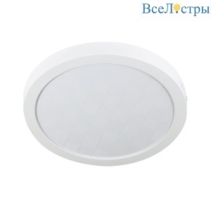 Настенно-потолочный светильник LED4U 312 24W круг