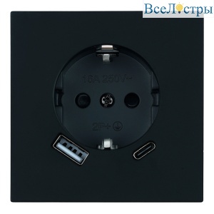 Розетка 1-местная з/ш с/з 16А + USB + Type C (механизм) Stekker Мия 250В 20W RST16-3119-05 черный бархат 50452