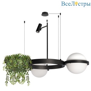 Подвесная люстра Loft IT Jardin 10121/2