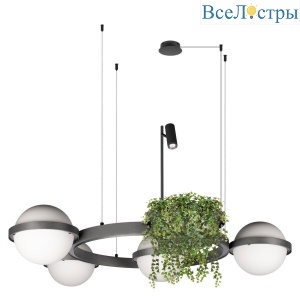 Подвесной светодиодный светильник Loft IT Jardin 10121/4 Dark grey