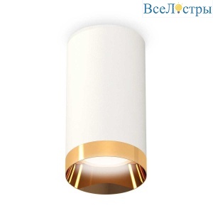 Комплект потолочного светильника Ambrella light Techno Spot XC (C6322, N6134) XS6322024