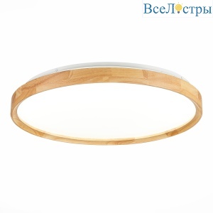 Потолочный светильник Evoluce Delia SLE201382-01