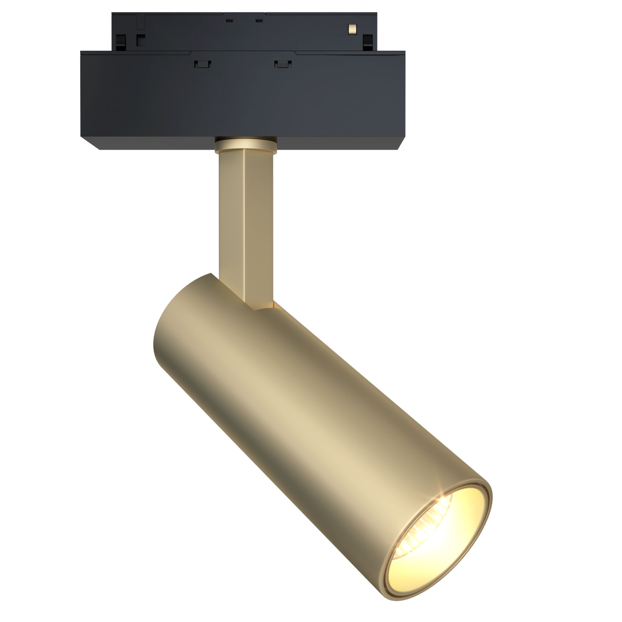 трековый светильник maytoni focus led  tr019-2-10w4k-mg