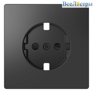 Накладка Schneider Electric Merten D-Life для механизма розетки MTN2330-6034