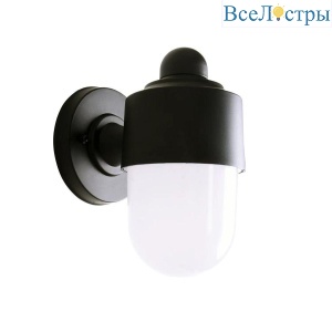 Уличный настенный светильник Escada 30008W/01