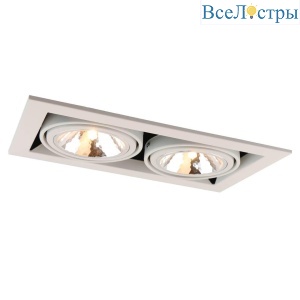 Встраиваемый светильник Arte Lamp Cardani A5949PL-2WH