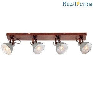 Спот Lussole Loft Diana GRLSP-9829