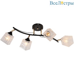 Спот Reluce 01594-3.3-04B BK+FGD