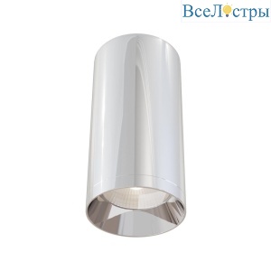 Потолочный светильник Maytoni Alfa C010CL-01CH