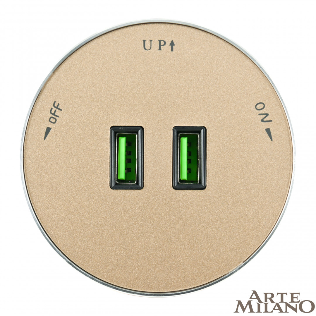 трековая розетка arte milano am-track-sockets 380011ts/usbx2 gold