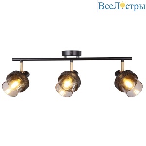 Спот IMEX SP.052-63-01
