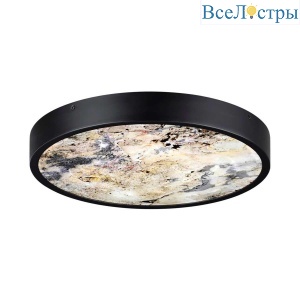 Настенно-потолочный светильник Odeon Light Bergi 5064/24L