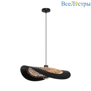 Подвесной светильник Arte Lamp Woodstock A7059SP-1BK