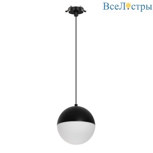 Подвесной светильник Arlight SP-EMISFERO-HANG-BUILT-R150-11W Day4000 (BK, 170 deg, 230V) 056591