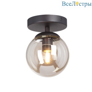 Потолочный светильник Vitaluce V3962-1/1PL