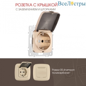 Розетка с заземлением, шторками и защитной крышкой Arte Milano 205.41-1.shampan