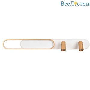 Потолочная светодиодная люстра Favourite Planar 4075-2C