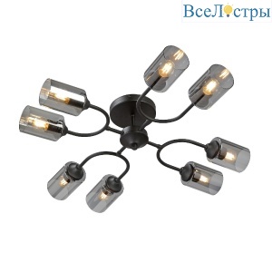 Потолочная люстра Vitaluce V2823-1/8PL