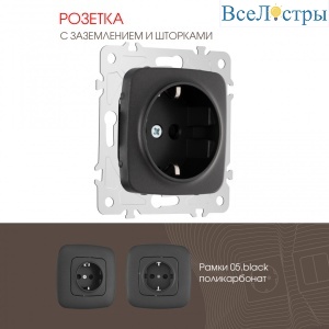 Розетка с заземлением и шторками Arte Milano 205.40-1.black