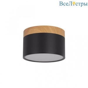 Накладной светодиодный светильник Loft IT Grape 10162 Black