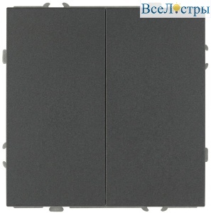 Переключатель Эра Galaxy 15-1106-06 двойной 10АХ-250В IP20 графит Б0070702