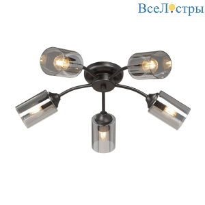Потолочная люстра Vitaluce V2558-1/5PL