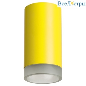 Накладной светильник Lightstar Rullo R43330 (214433+202430)