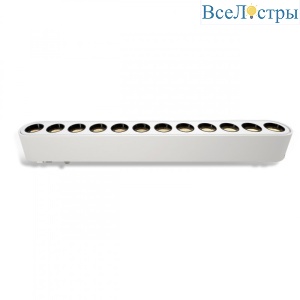 Трековый магнитный светильник IMEX UT25 IL.0007.1101-12 WH