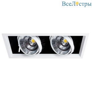 Встраиваемый светодиодный светильник Arte Lamp Merga A8450PL-2WH
