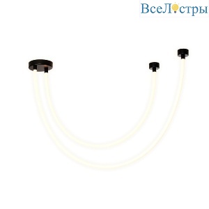 Потолочный светильник Favourite Pipeline 4217-2U