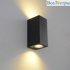 Уличный настенный светильник Crystal Lux CLT 528W2 BL