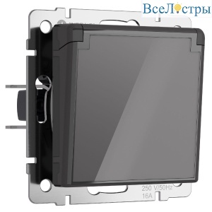 Розетка с заземлением, крышкой и шторками Werkel 4690389197529 W1171244 a064092