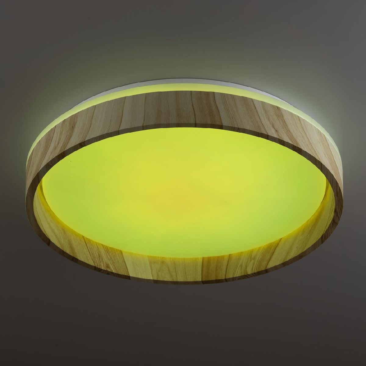 потолочный светильник citilux enzo cl753352g