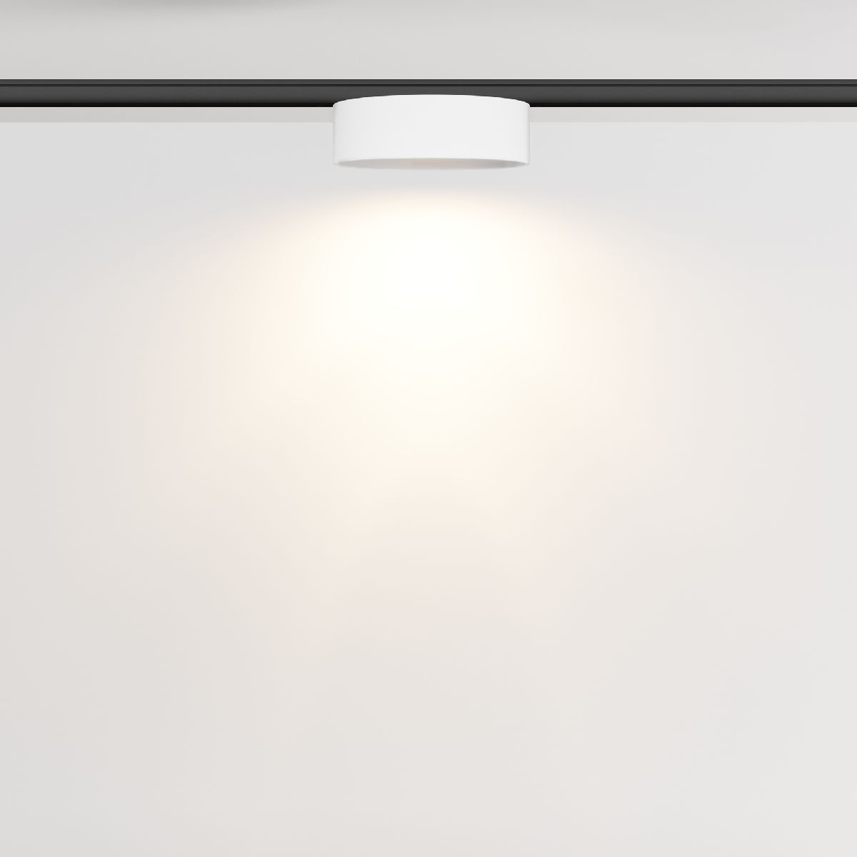 трековый магнитный светильник maytoni zon tr189-1-12w3k-bw