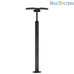 Уличный светодиодный светильник Citilux CLU03B2