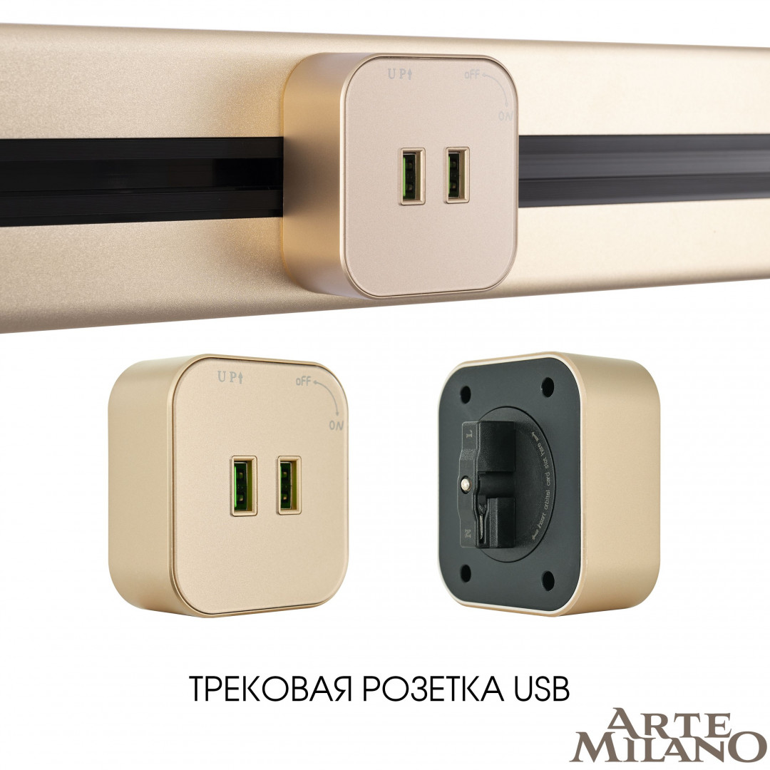 трековая розетка arte milano am-track-sockets 380022ts/usbx2 gold