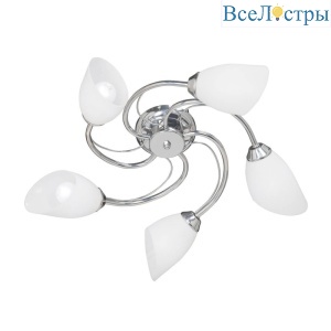 Потолочная люстра Vitaluce V3236/5PL