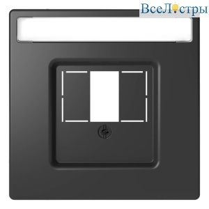 Накладка Schneider Electric Merten D-Life MTN4250-6034