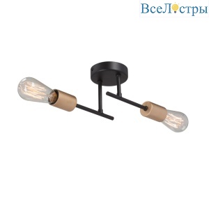 Потолочный светильник Vitaluce V3006-1/2PL