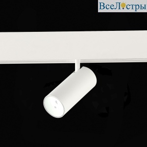 Трековый магнитный светильник ST Luce Skyline 48 ST375.506.07ZGB