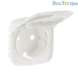 Лицевая панель Legrand Valena Allure розетки с/з с крышкой жемчуг 754849