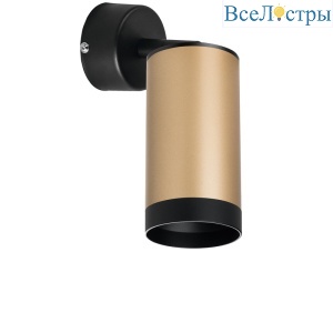 Встраиваемый спот Lightstar Rullo RB440437 (214440+590007+203437)